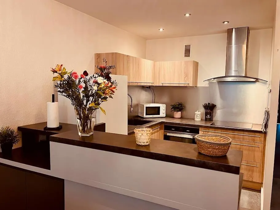 Grand T2 Renove, Plein Centre, 62 M² Apartment Villard-de-Lans France